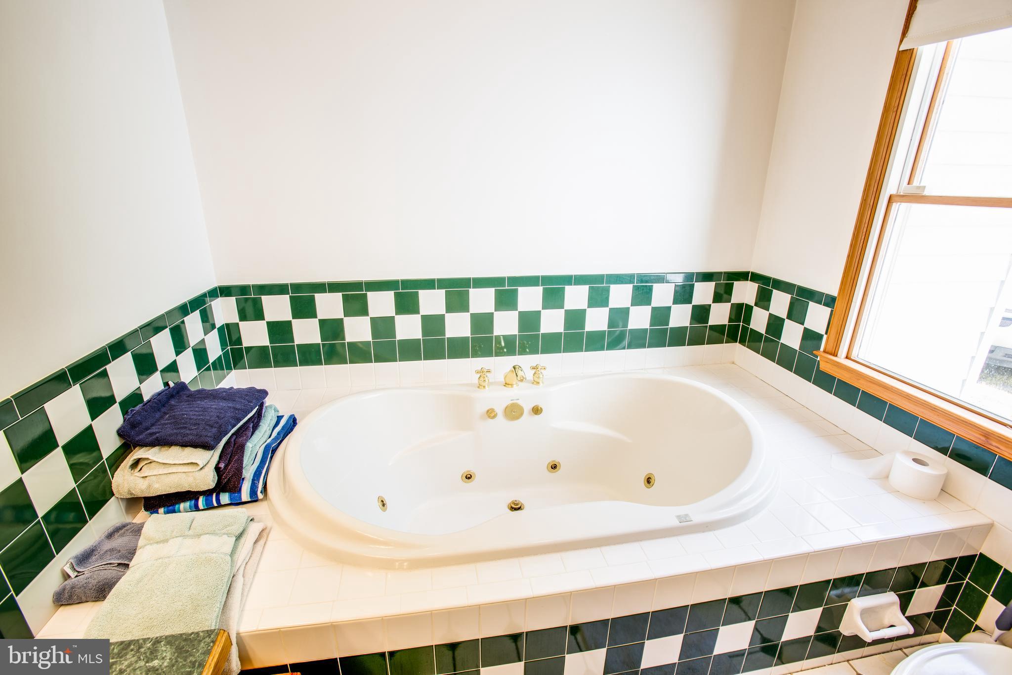 8613 Hancock Road Spotsylvania, VA 22553 - Photo 20 of 46 Master bath tub