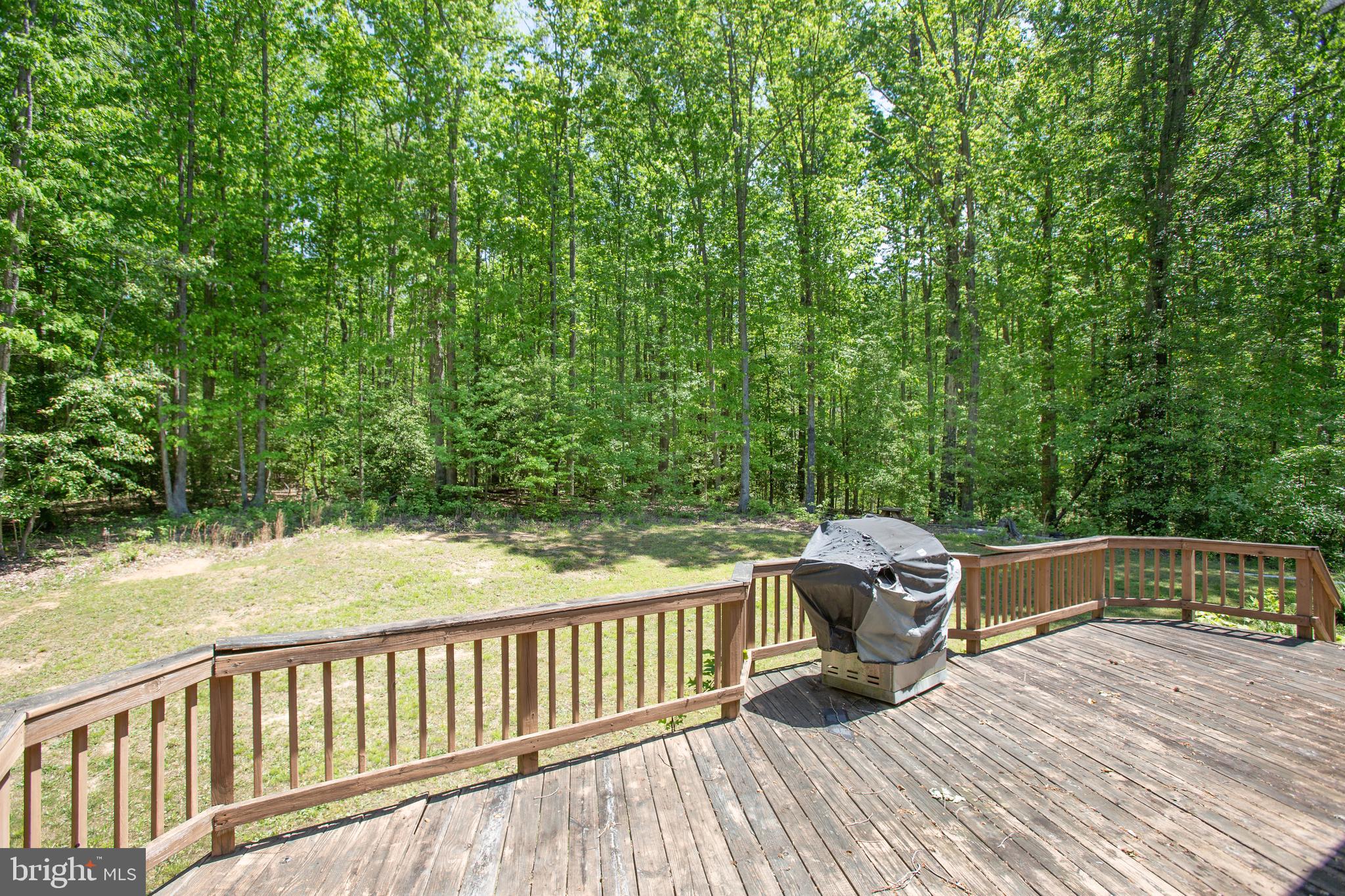 8613 Hancock Road Spotsylvania, VA 22553 - Photo 37 of 46 Deck and view