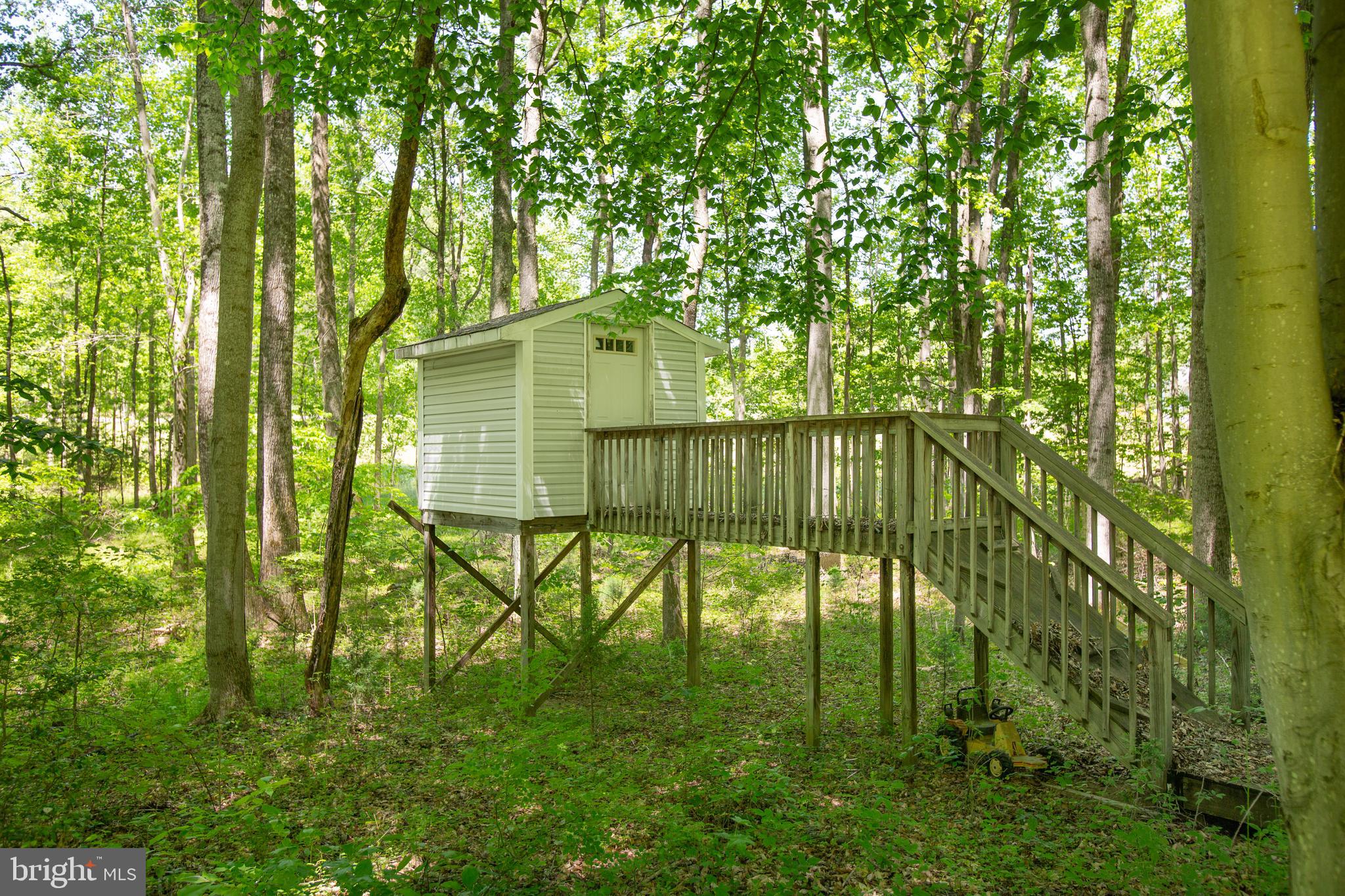 8613 Hancock Road Spotsylvania, VA 22553 - Photo 39 of 46 Tree house