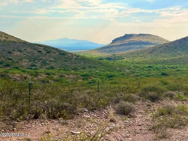 Perilla Perilla Mountain Ranch Douglas, AZ 85607 - Photo 3 of 21 Gallery Image 3