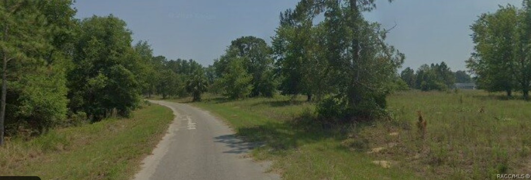 6 Maple Lane Run Road Ocklawaha, FL 32179 - Photo 1 of 2 Gallery Image 1