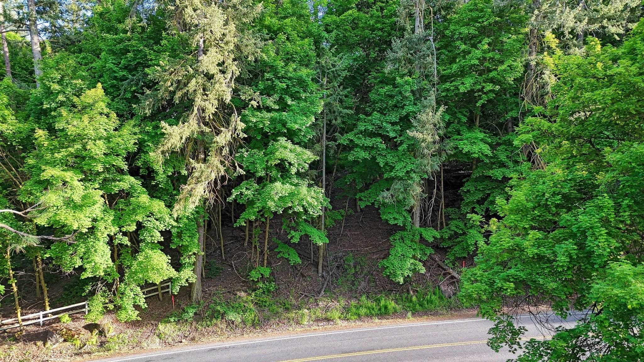 0 North 5 Mile Road Spokane, WA 99218 - Photo 4 of 5
