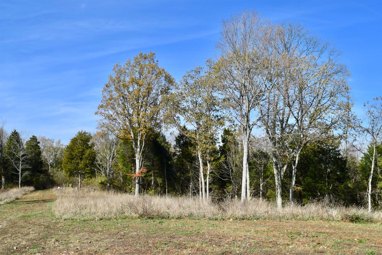 5457 Fishing Worm Ridge Road Vevay, IN 47043 - Photo 47 of 52