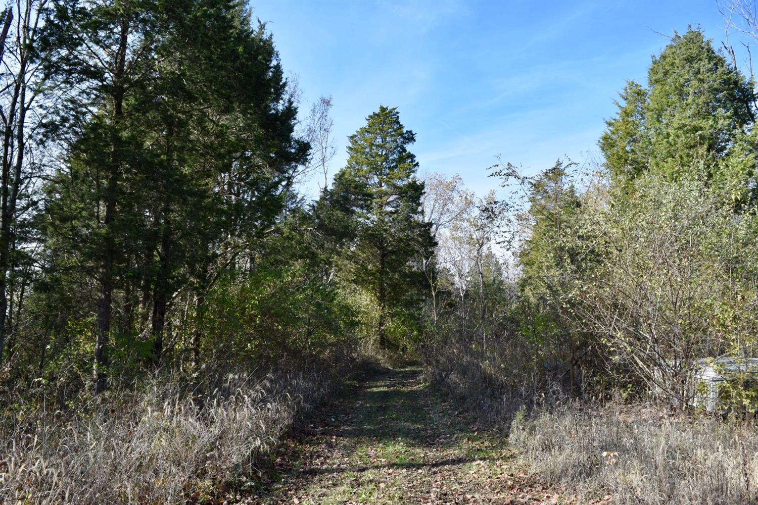 5457 Fishing Worm Ridge Road Vevay, IN 47043 - Photo 50 of 52