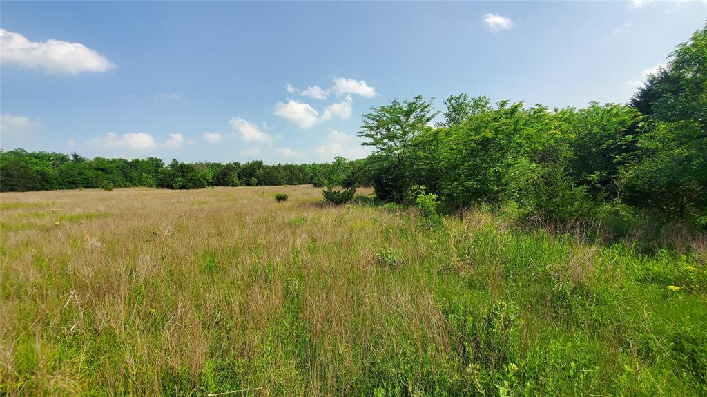 9999 Private Road, Unit 1194 Celeste, TX 75423 - Photo 2 of 18