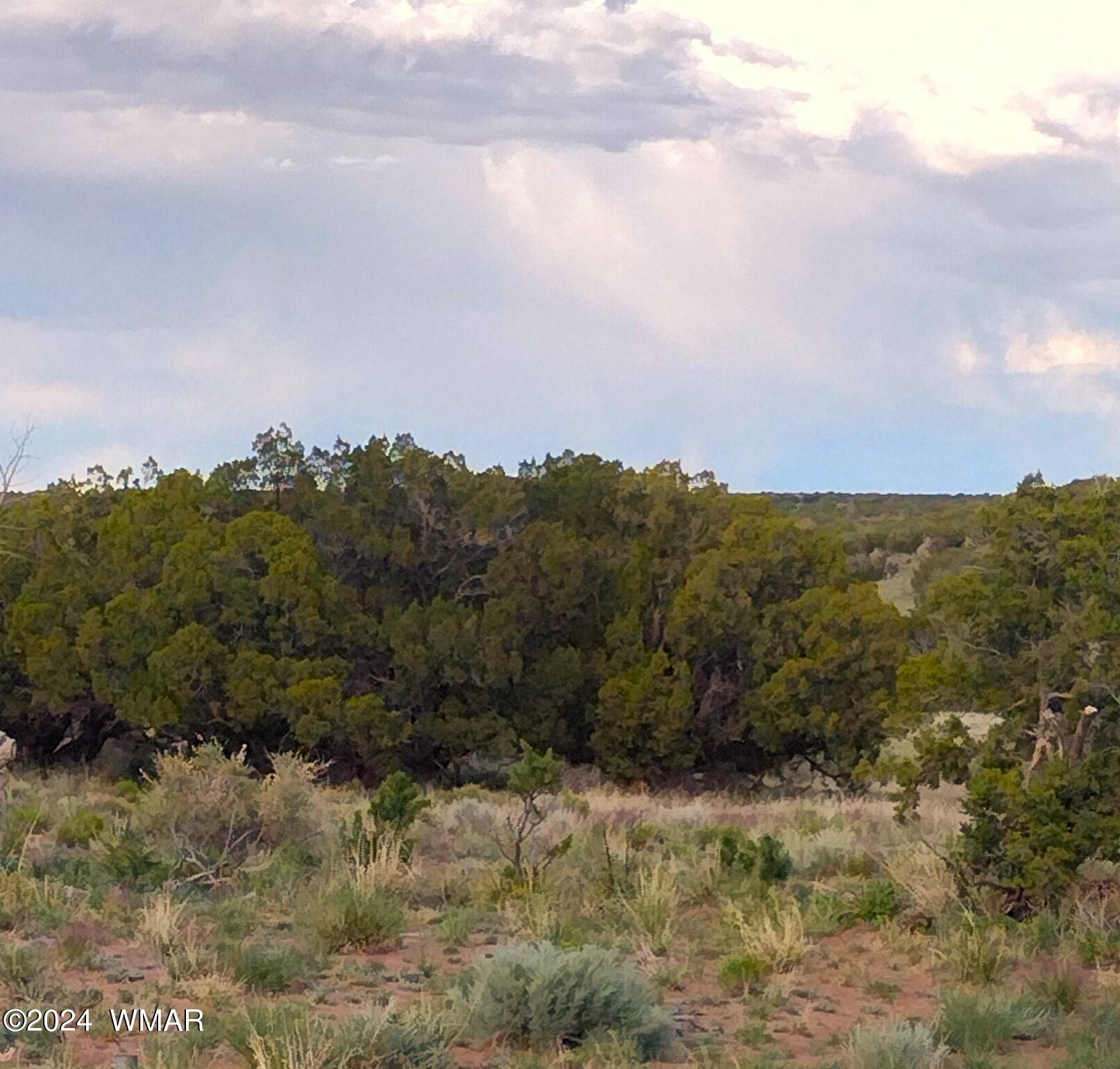 St-johns Az 85936 Ranch St. Johns, AZ 85936 - Photo 2 of 16