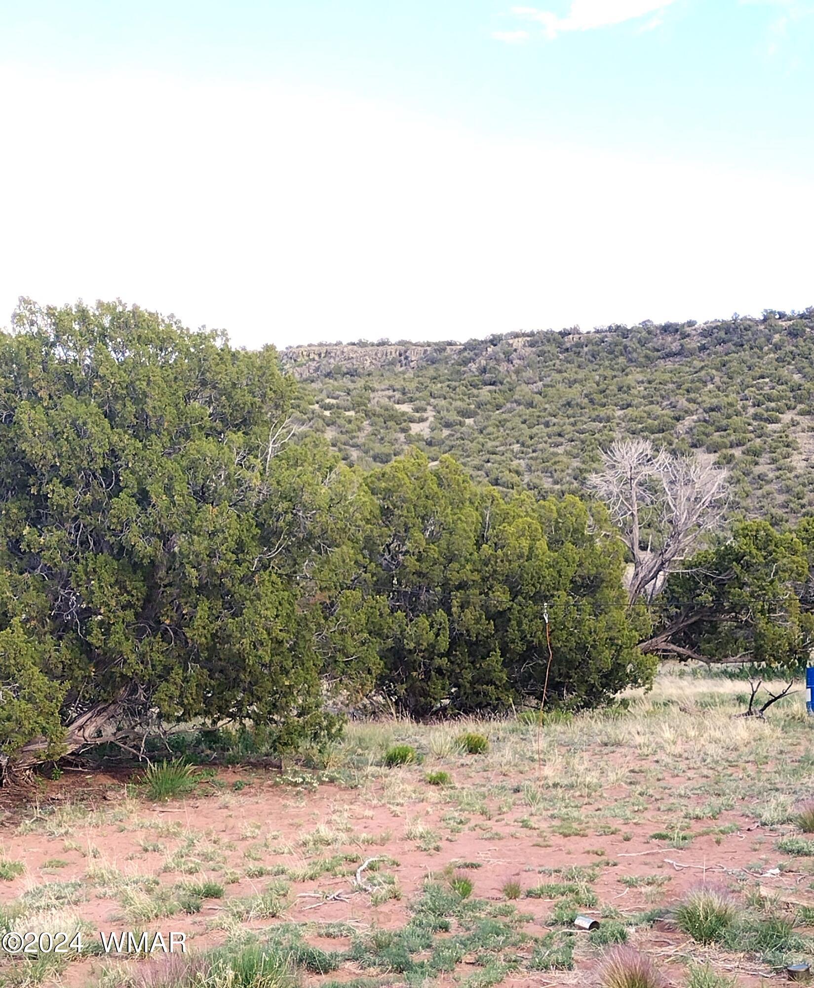 St-johns Az 85936 Ranch St. Johns, AZ 85936 - Photo 3 of 16