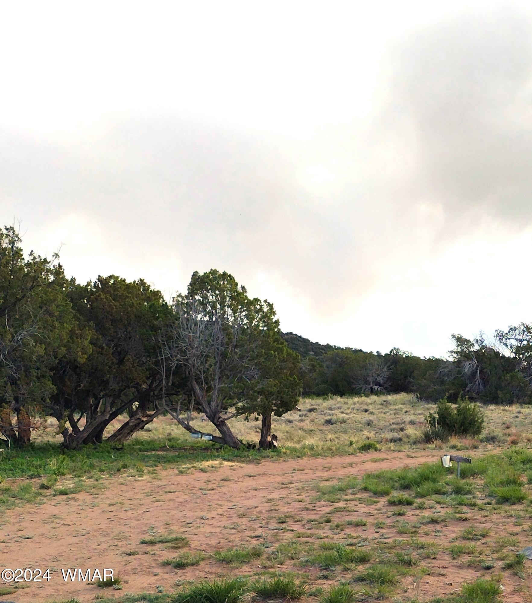 St-johns Az 85936 Ranch St. Johns, AZ 85936 - Photo 5 of 16