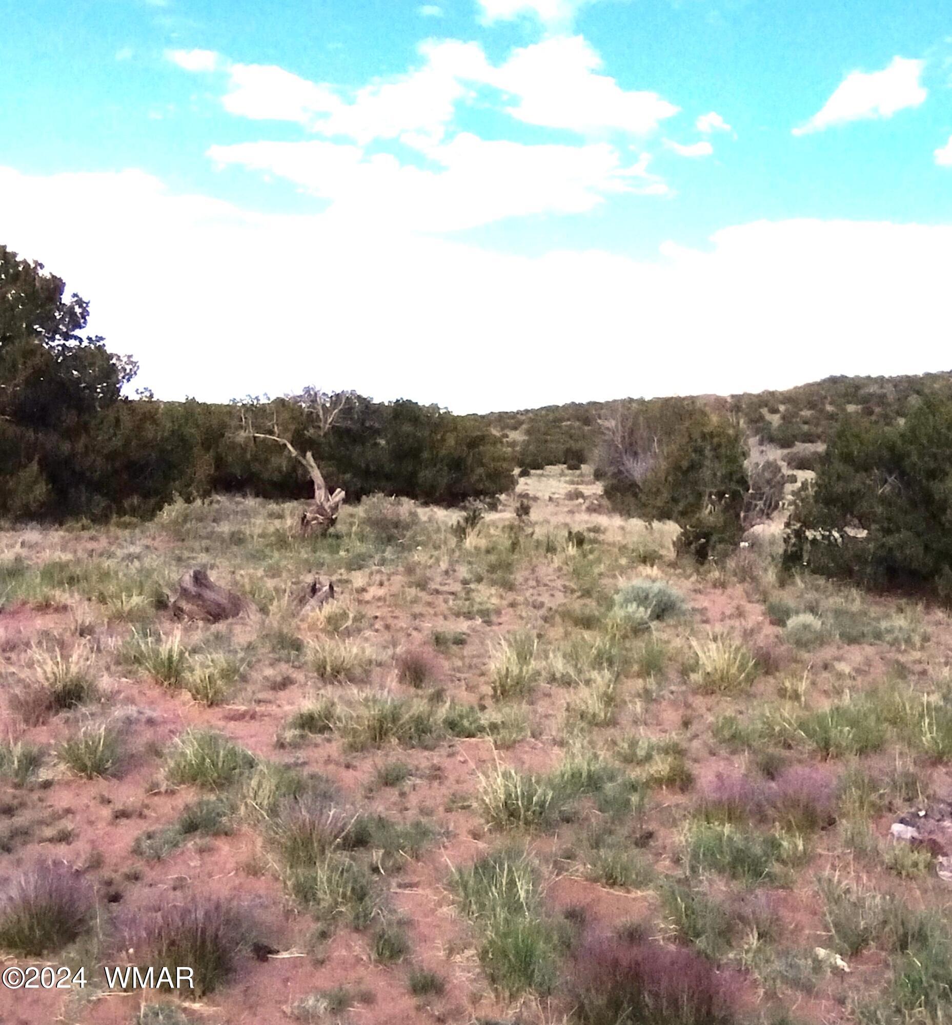 St-johns Az 85936 Ranch St. Johns, AZ 85936 - Photo 7 of 16