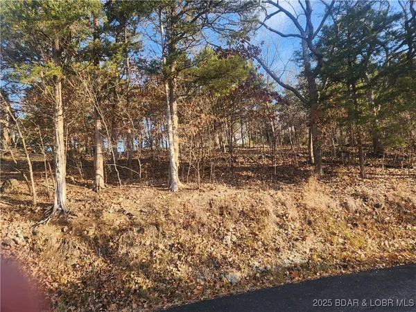 $55,000 | Tbd West End Circle, Osage Beach, MO 65065