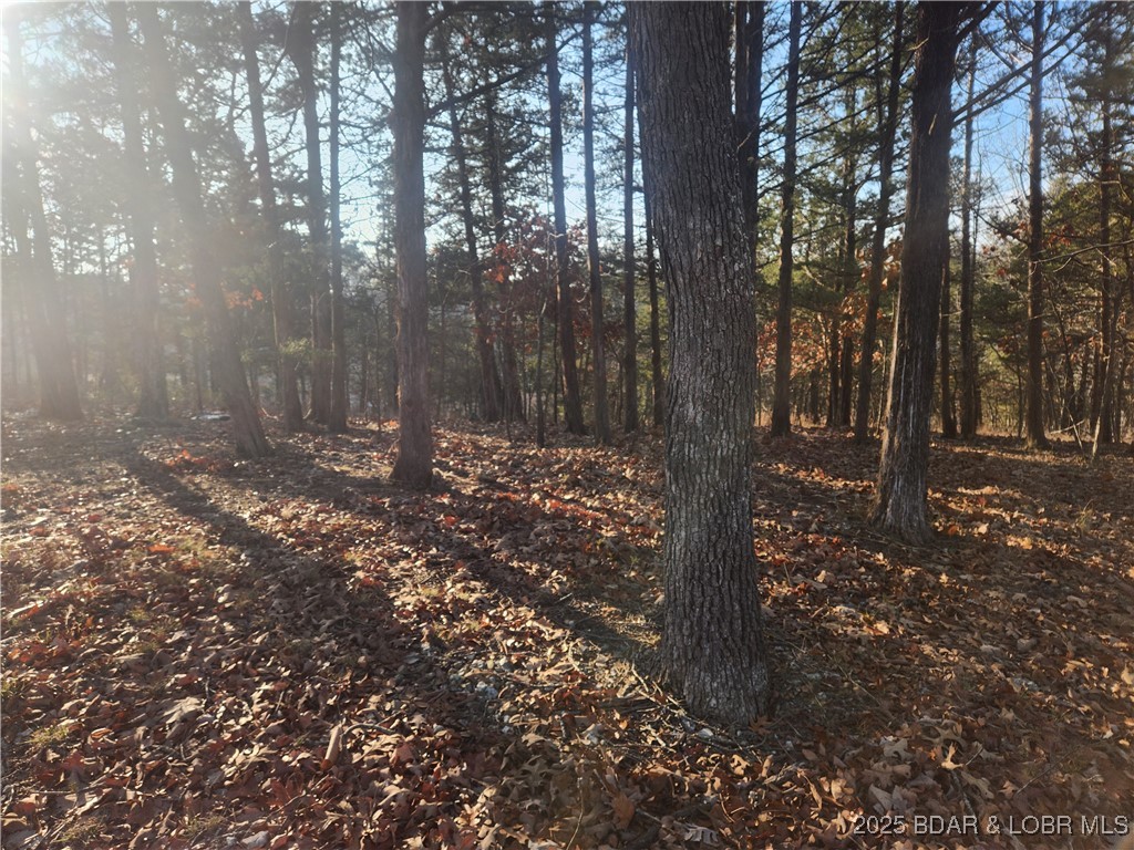 Tbd West End Circle Osage Beach, MO 65065 - Photo 2 of 5 Road view #2