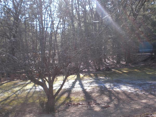 Lot 10 Martin Road Concord, MA 01742 - Photo 15 of 16 Gallery Image 15