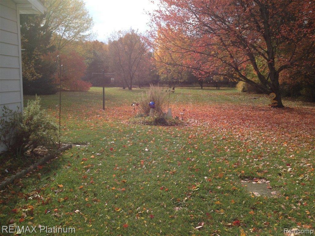 10412 Buno Road Brighton, MI 48114 - Photo 6 of 13 Back Yard Buno Rd.JPG