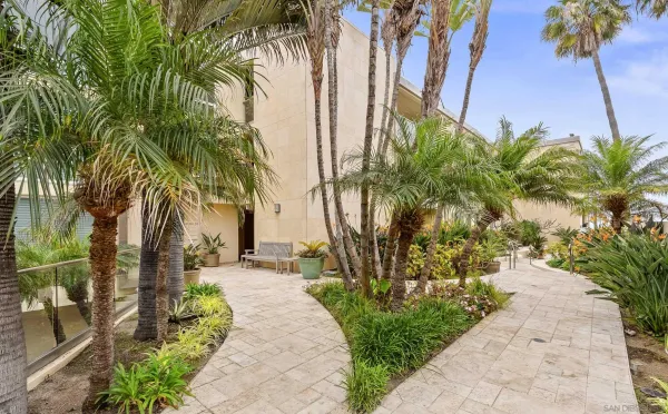 a couple of palm trees sitting in front of a building