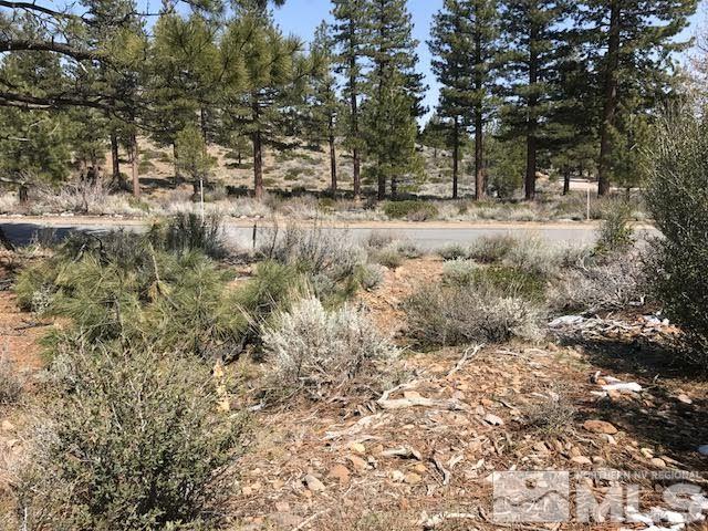 46 Bennington Court, Unit 312 Reno, NV 89511 - Photo 4 of 18 Photo 4