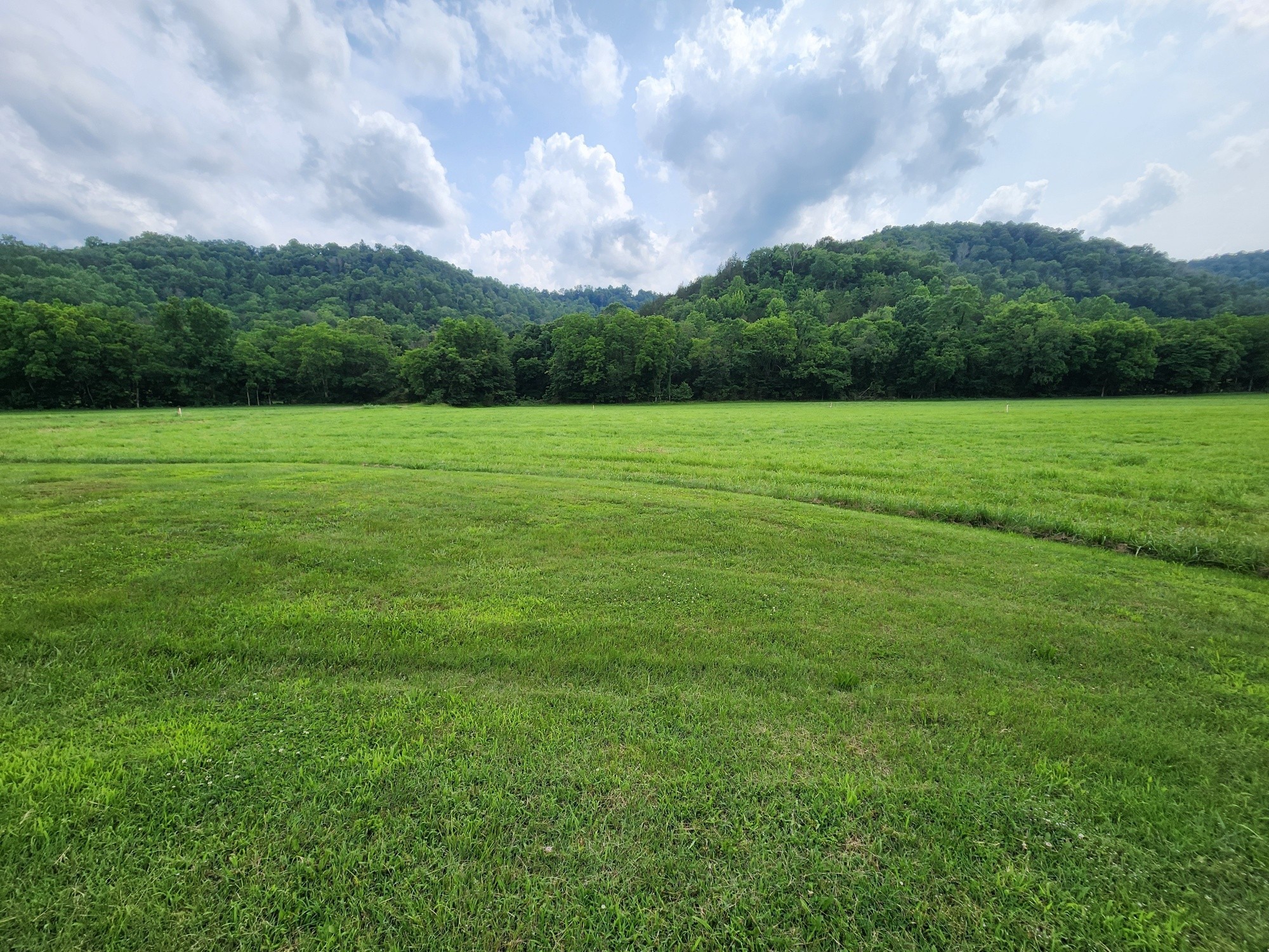 1036 Old Bottom Road Lafayette, TN 37083 - Photo 7 of 36 Gallery Image 7