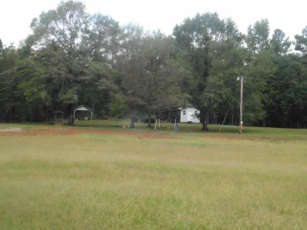 3298 Metasville Road Lincolnton, GA 30817 - Photo 1 of 6 Main View