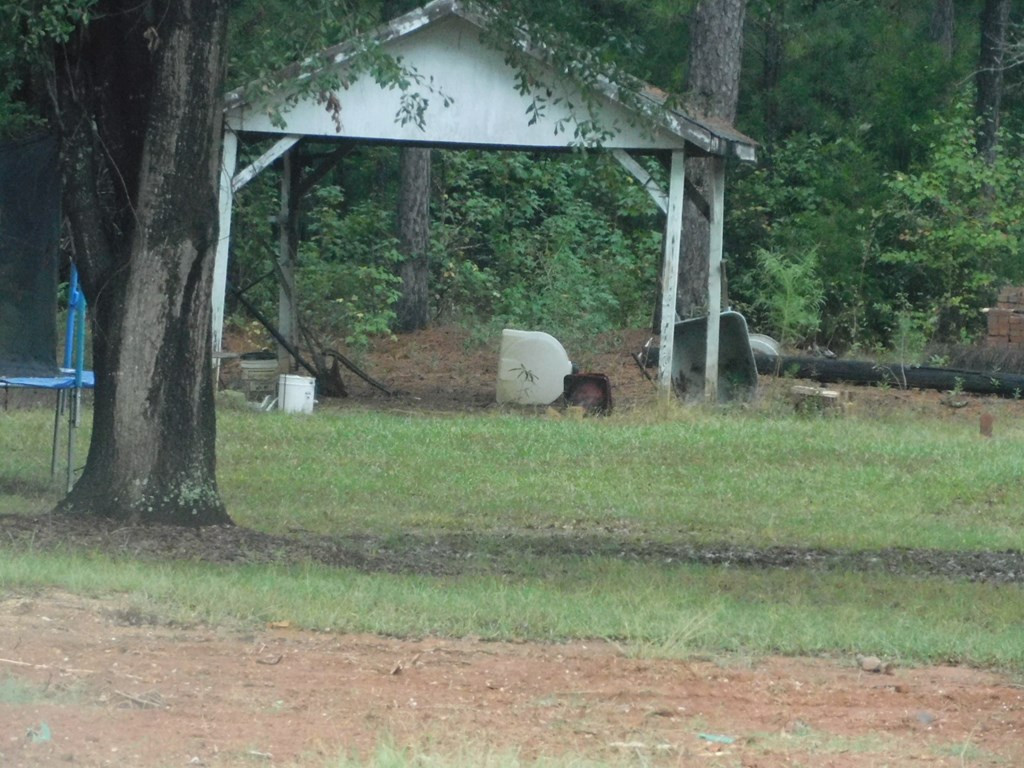 3298 Metasville Road Lincolnton, GA 30817 - Photo 4 of 6