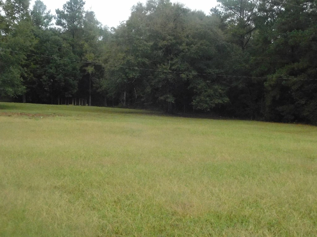 3298 Metasville Road Lincolnton, GA 30817 - Photo 5 of 6