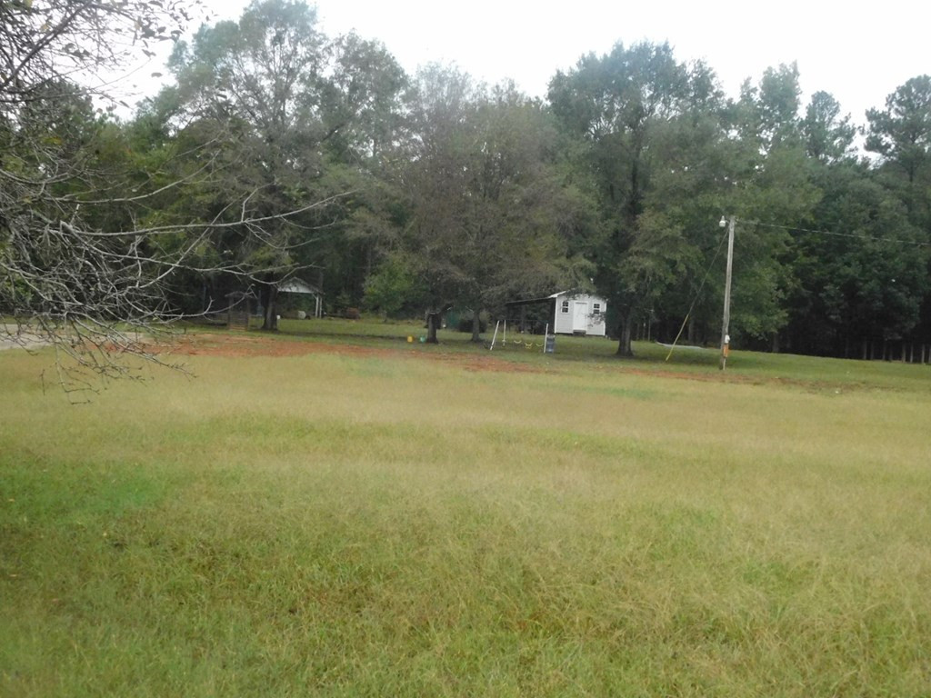 3298 Metasville Road Lincolnton, GA 30817 - Photo 6 of 6