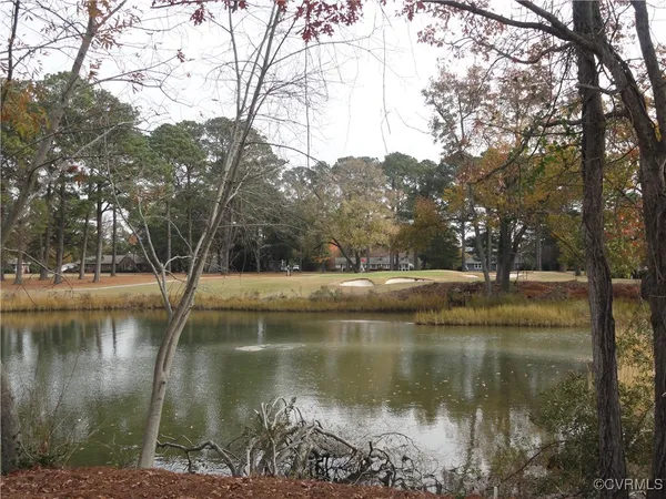 a view of lake with trees