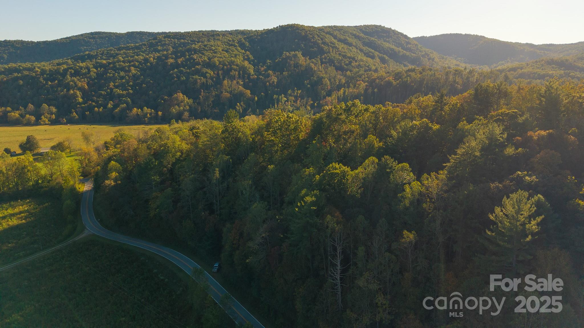 0 Shell Creek Road Ferguson, NC 28624 - Photo 11 of 28