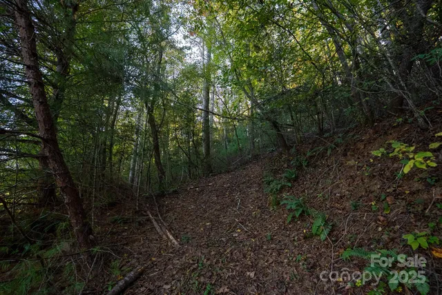 $115,000 | 0 Shell Creek Road, Ferguson, NC 28624