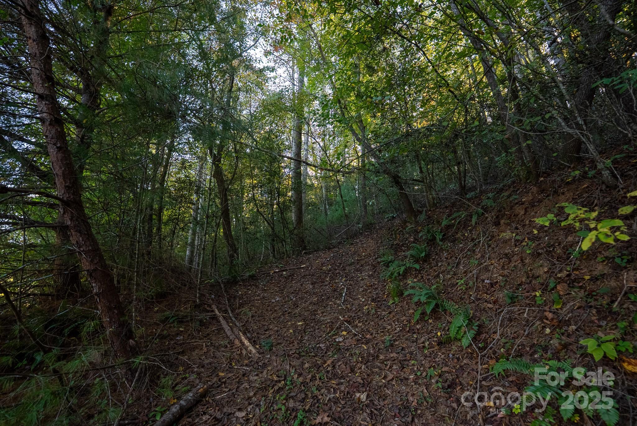 0 Shell Creek Road Ferguson, NC 28624 - Photo 17 of 28