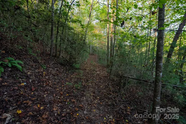 $115,000 | 0 Shell Creek Road, Ferguson, NC 28624