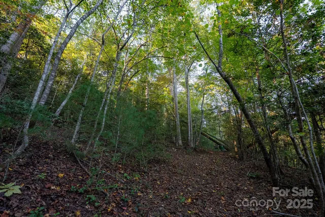 $115,000 | 0 Shell Creek Road, Ferguson, NC 28624