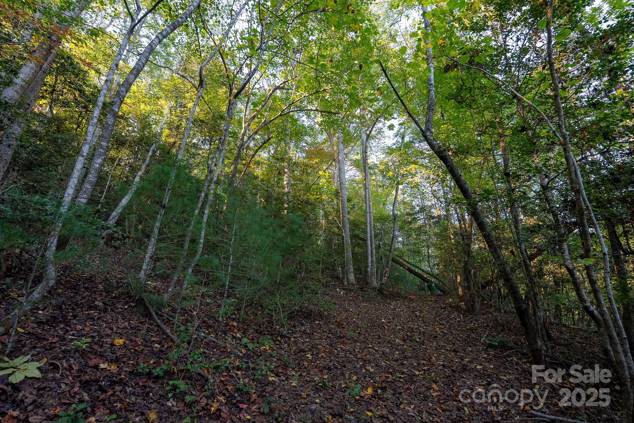 0 Shell Creek Road Ferguson, NC 28624 - Photo 19 of 28