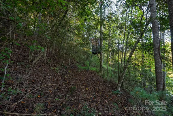 $115,000 | 0 Shell Creek Road, Ferguson, NC 28624