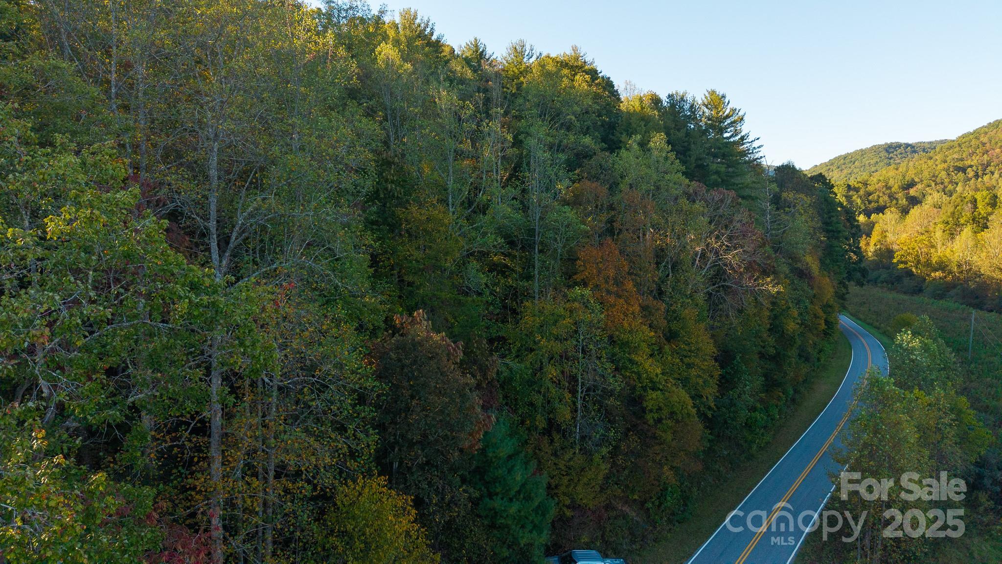 0 Shell Creek Road Ferguson, NC 28624 - Photo 2 of 28