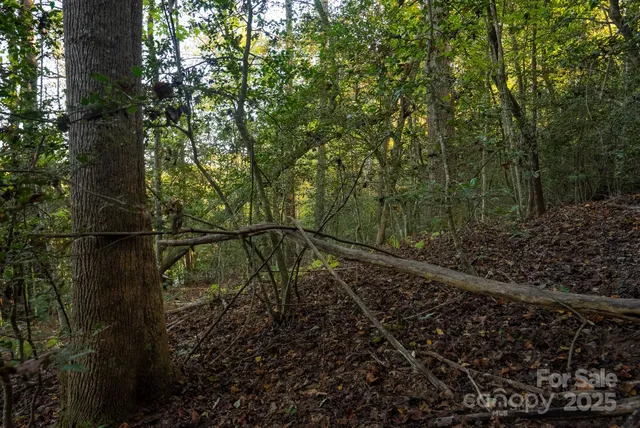 $115,000 | 0 Shell Creek Road, Ferguson, NC 28624