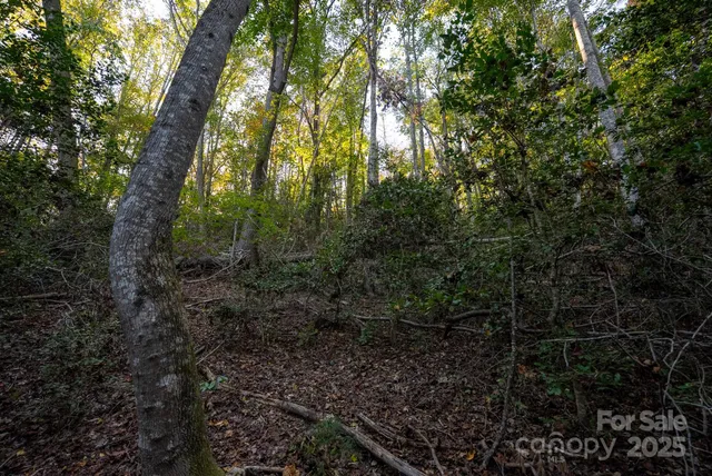 $115,000 | 0 Shell Creek Road, Ferguson, NC 28624