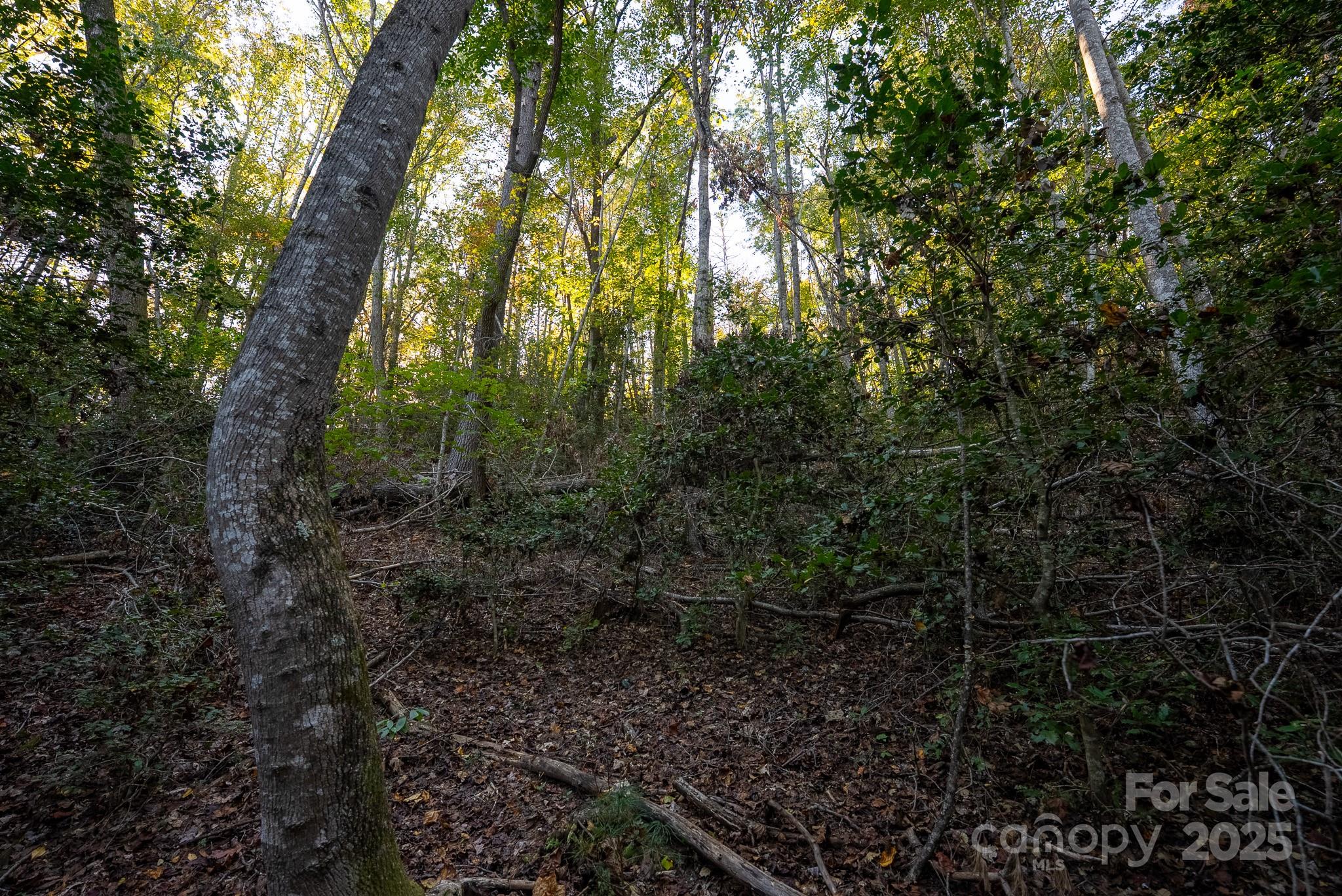 0 Shell Creek Road Ferguson, NC 28624 - Photo 22 of 28