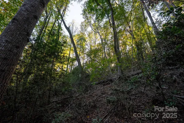 $115,000 | 0 Shell Creek Road, Ferguson, NC 28624