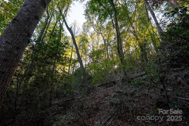 $115,000 | 0 Shell Creek Road, Ferguson, NC 28624