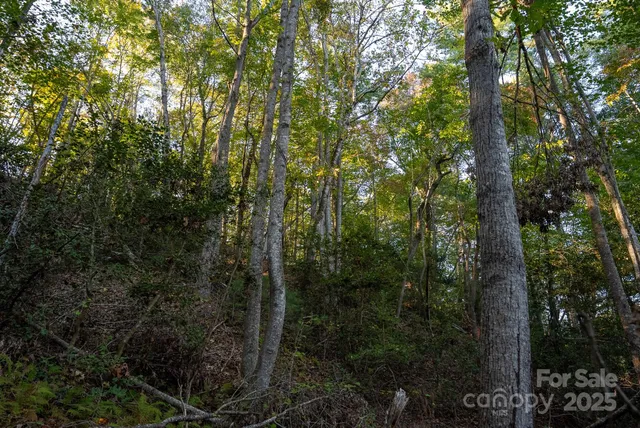 $115,000 | 0 Shell Creek Road, Ferguson, NC 28624