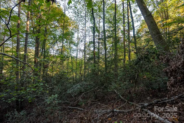 $115,000 | 0 Shell Creek Road, Ferguson, NC 28624