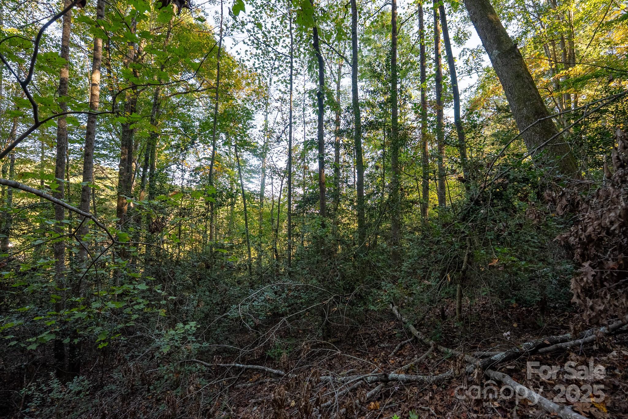 0 Shell Creek Road Ferguson, NC 28624 - Photo 25 of 28