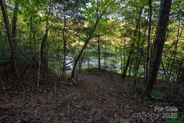 $115,000 | 0 Shell Creek Road, Ferguson, NC 28624