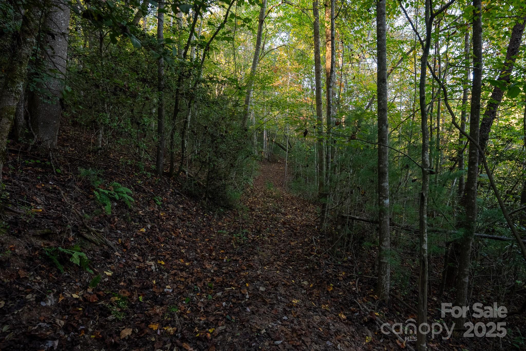 0 Shell Creek Road Ferguson, NC 28624 - Photo 27 of 28