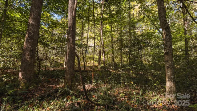 $115,000 | 0 Shell Creek Road, Ferguson, NC 28624