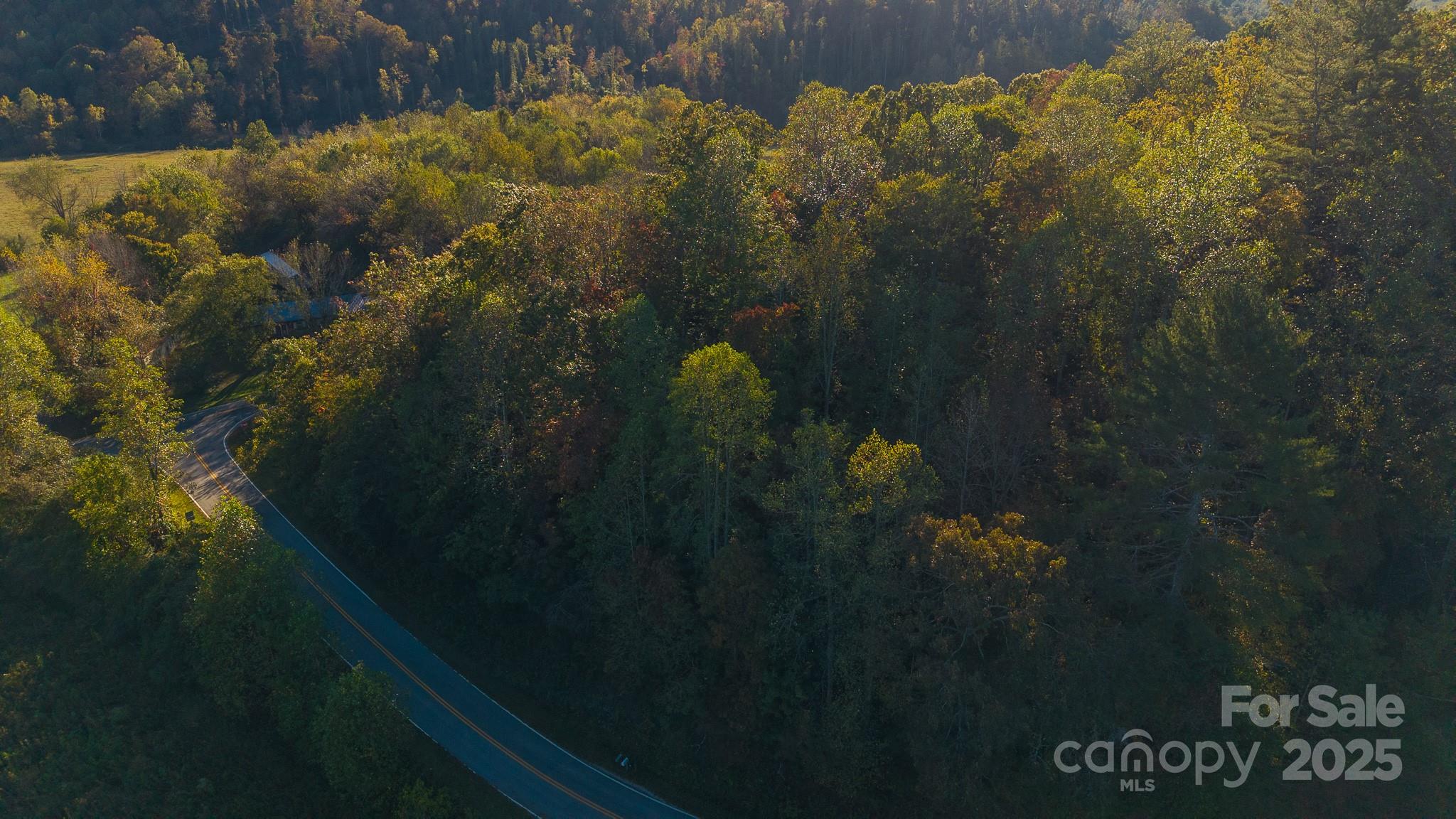 0 Shell Creek Road Ferguson, NC 28624 - Photo 4 of 28