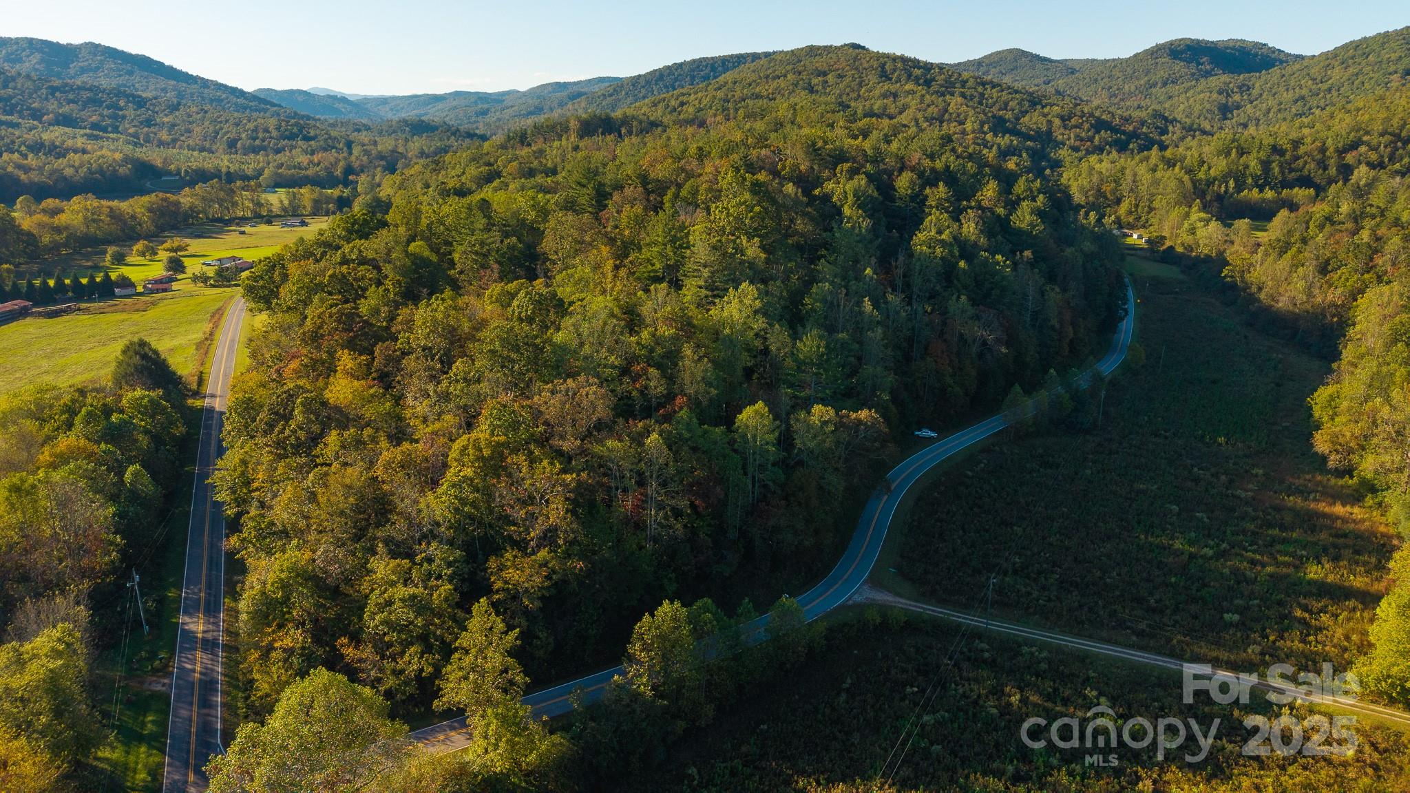 0 Shell Creek Road Ferguson, NC 28624 - Photo 6 of 28