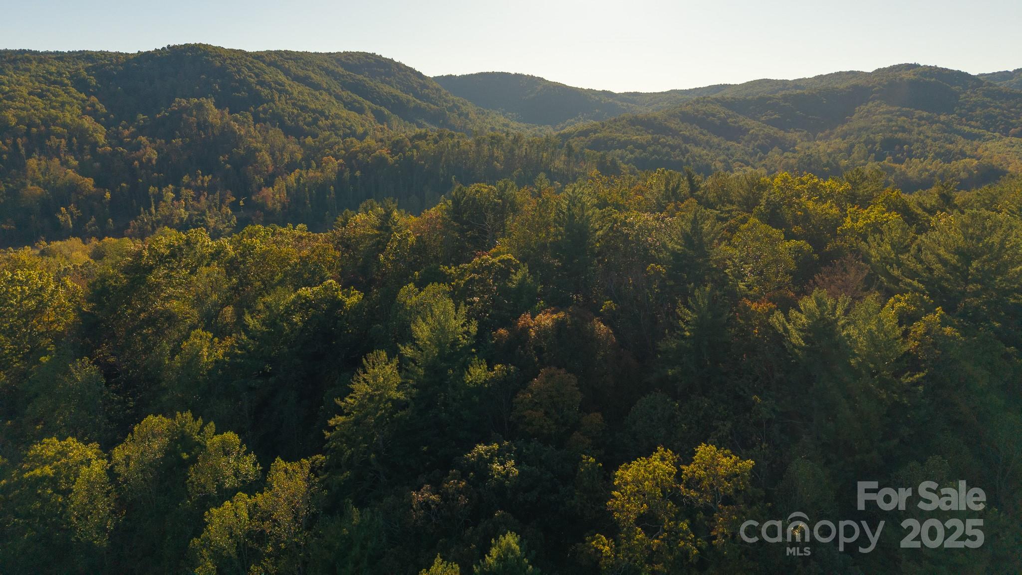 0 Shell Creek Road Ferguson, NC 28624 - Photo 9 of 28