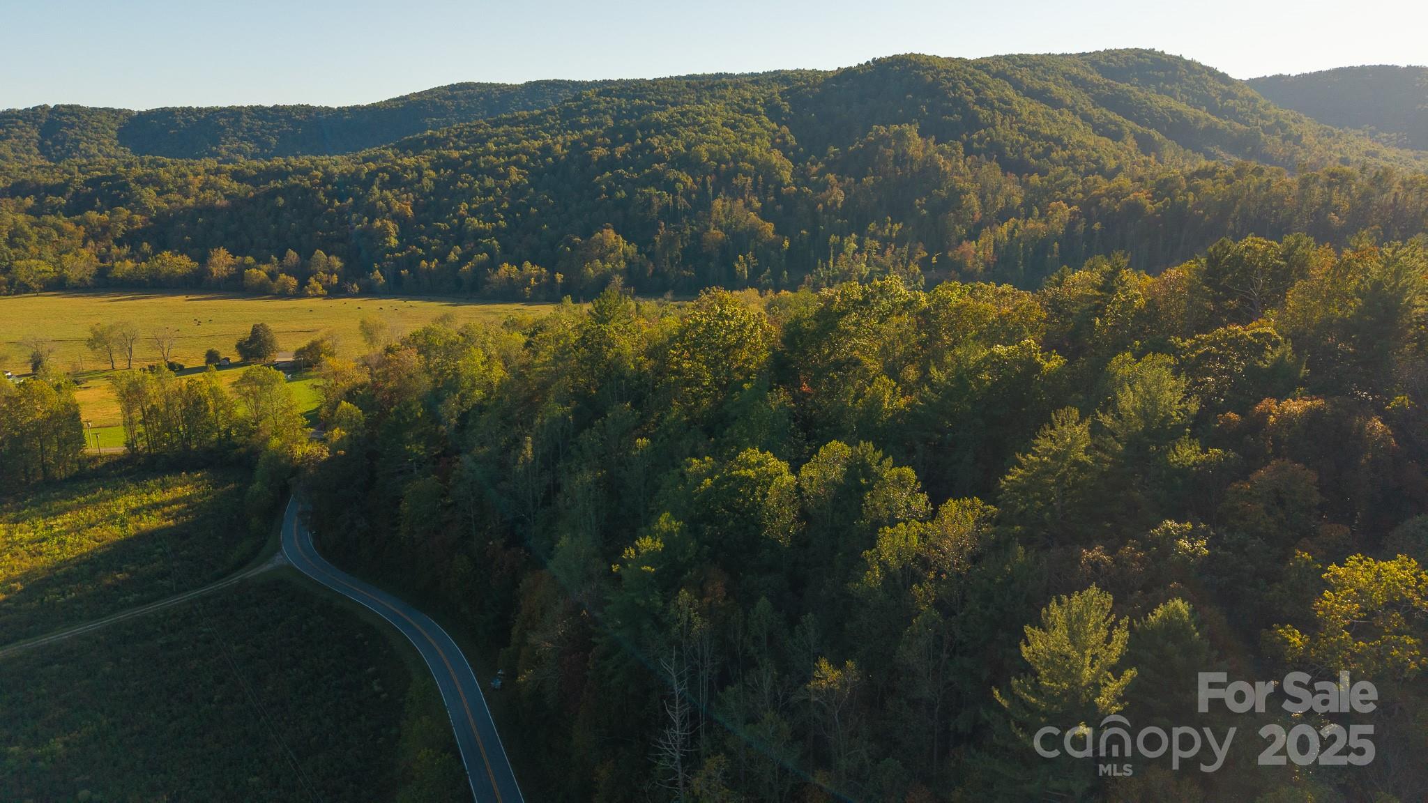 0 Shell Creek Road Ferguson, NC 28624 - Photo 10 of 28