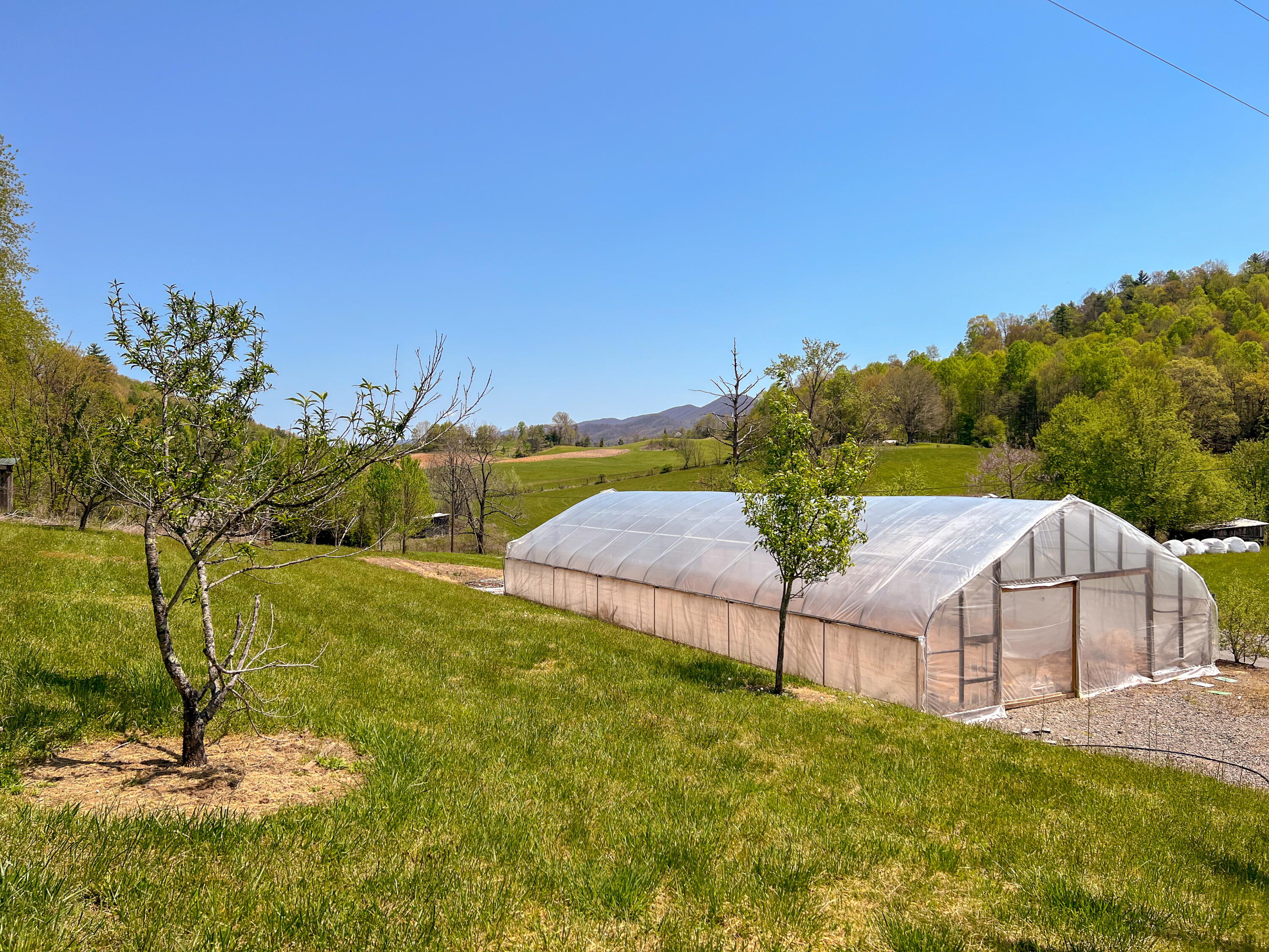3302 Buntontown Road Butler, TN 37640 - Photo 35 of 39 IMG_2082