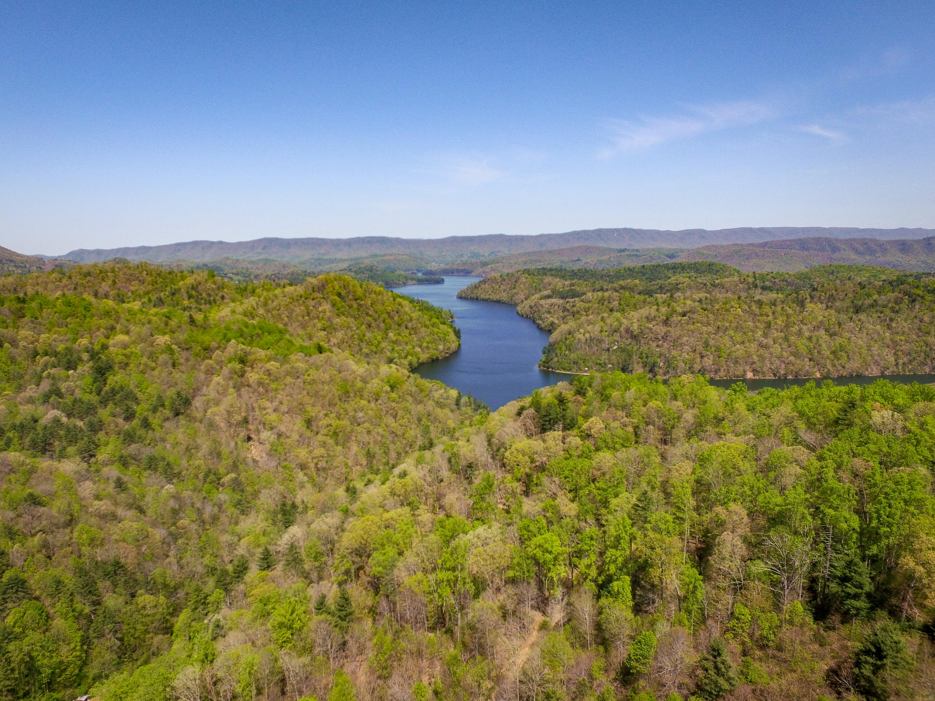 3302 Buntontown Road Butler, TN 37640 - Photo 7 of 39 DJI_0007-2